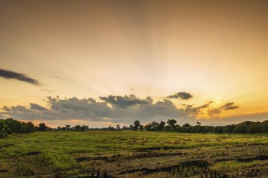 Akşamları kırsal alanda.