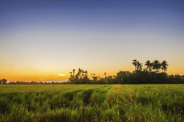 Akşamları kırsal alanda.