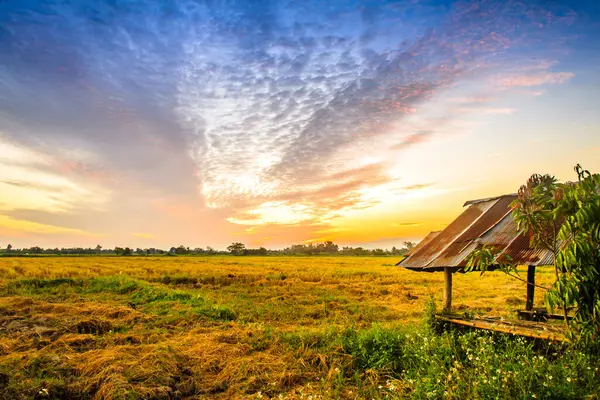 Gün batımında kırsal alan manzarası