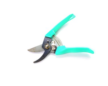 Beyaz arka plan üzerinde izole kesme dalları için Bahçe secateurs