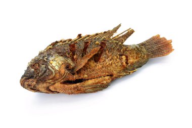 Kızarmış Tilapia balığı, beyaz arka planda izole edilmiş.