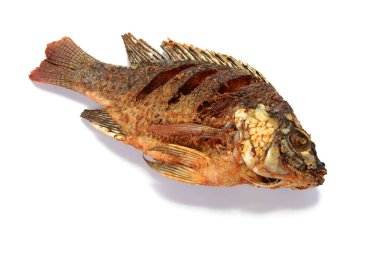 Kızarmış Tilapia balığı, beyaz arka planda izole edilmiş.