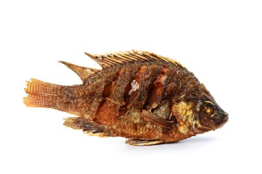 Kızarmış Tilapia balığı, beyaz arka planda izole edilmiş.