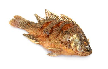 Kızarmış Tilapia balığı, beyaz arka planda izole edilmiş.