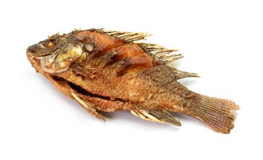 Kızarmış Tilapia balığı, beyaz arka planda izole edilmiş.