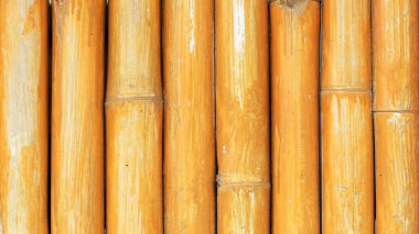 soyut bambu çit arkaplanı