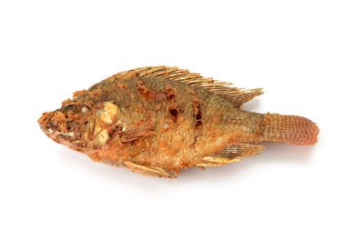 Kızarmış Tilapia balığı, beyaz arka planda izole edilmiş.