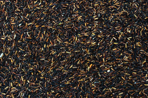 black rice Rice berry background