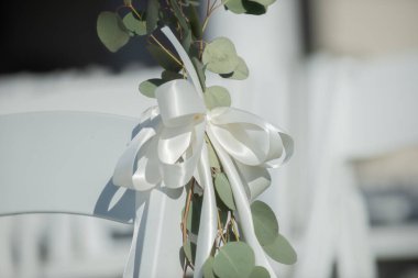 Düğün adasında beyaz kurdeleli beyaz sandalyeler ve yeşil bitkiler