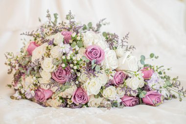 Beyaz arka planda muhteşem beyaz güller ve pembe güller.