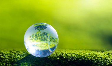 3D illüstrasyon Yenilenebilir Enerji Konsepti Dünya Günü veya çevresel koruma Toprakta yetişen ormanları koruyun ve gezegenin kurtulmasına yardım edin.
