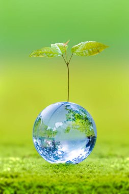 3D illüstrasyon Yenilenebilir Enerji Konsepti Dünya Günü veya çevresel koruma Toprakta yetişen ormanları koruyun ve gezegenin kurtulmasına yardım edin.