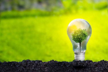 3D illüstrasyon Yenilenebilir Enerji Konsepti Dünya Günü veya çevresel koruma Toprakta yetişen ormanları koruyun ve gezegenin kurtulmasına yardım edin.