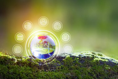 3D illüstrasyon Yenilenebilir Enerji Konsepti Dünya Günü veya çevresel koruma Toprakta yetişen ormanları koruyun ve gezegenin kurtulmasına yardım edin.