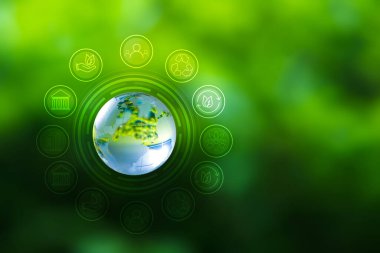 Yenilenebilir enerji konsepti Dünya Günü veya çevre koruma Elleri toprakta yetişen ormanları korur ve dünyayı kurtarmaya yardım eder.