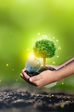 Net sıfır emisyon hedefleri için eldeki doğal çevre ve karbon nötr kavramlar. Hava-nötr uzun vadeli strateji Yeşil Ağ Sıfır 'da Hedef Bulut