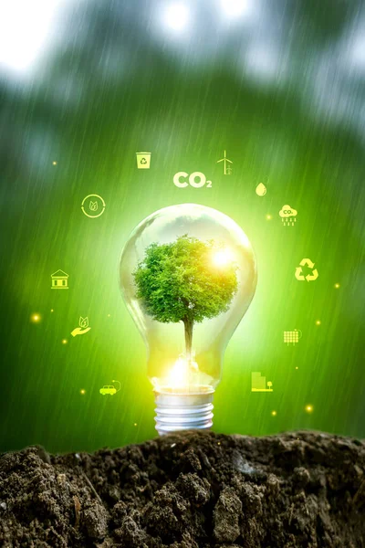 Natuurlijke Omgeving Koolstofneutrale Concepten Voor Netto Emissievrije Streefcijfers Weerneutrale Langetermijnstrategie — Stockfoto