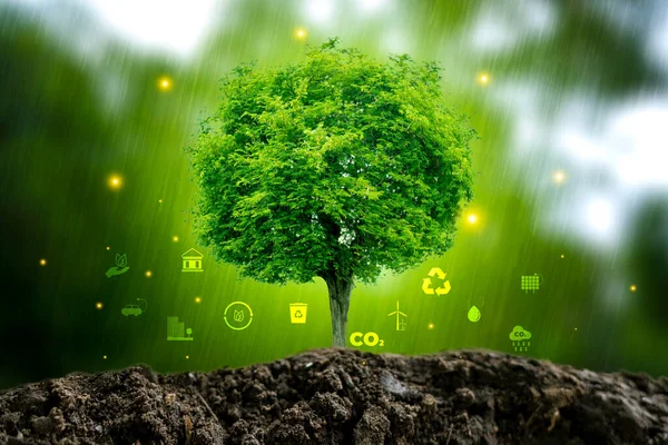 Conceitos Ambiente Natural Neutros Carbono Mãos Para Metas Emissões Líquidas — Fotografia de Stock