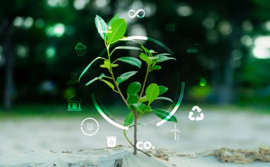 3D illüstrasyon Yenilenebilir Enerji Konsepti Dünya Günü veya çevresel koruma Toprakta yetişen ormanları koruyun ve gezegenin kurtulmasına yardım edin.