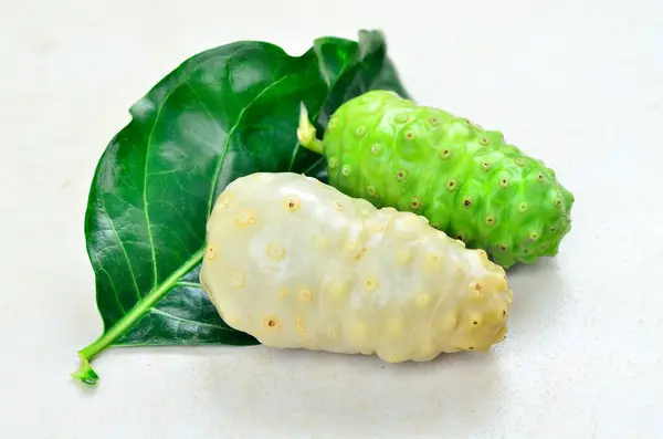Herb Indian Mulberry Has Many Benefit Health — 图库照片