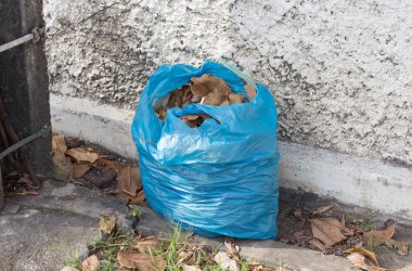 Dışarında çöp yığını olan çöp kutusu, çöp konsepti