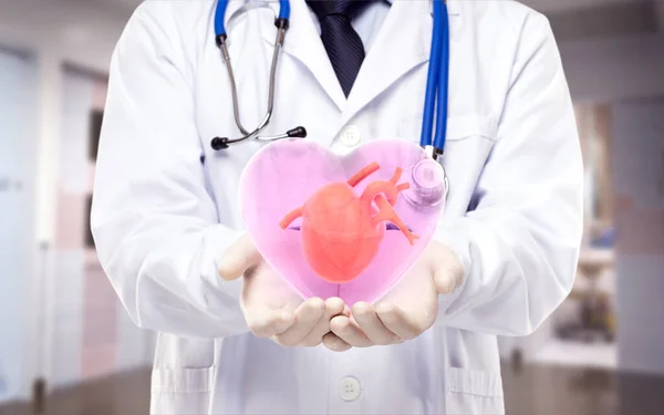 Médico Segurar Coração Parecem Prevenir Sintomas Cardiologia Fundo Branco — Fotografia de Stock