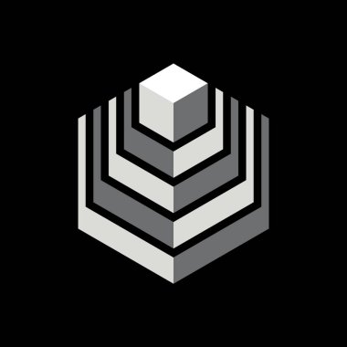 Modern, Profesyonel Monokrom 3D Dijital Teknoloji Logo Kimlik Vektörü / Modern, Profesyonel Monokrom 3D Küp Dijital Teknoloji Logo Tanımlama Vektörü