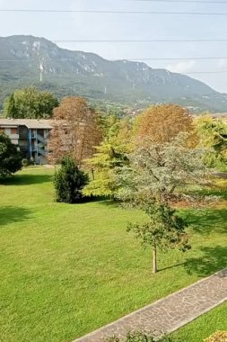 Bahçedeki yeşil çimenler ve ağaçlar