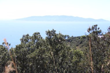 Deniz manzarası ve Akdeniz plajı.