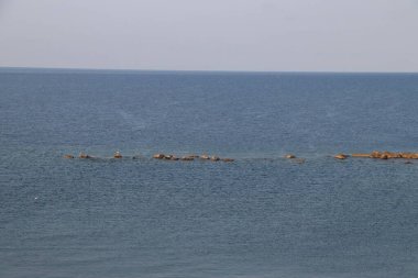 Güney İtalya 'daki Calabria' da Tyrhenian Denizi 'nin Deniz Burnu