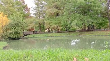 Parkın güzel manzarası