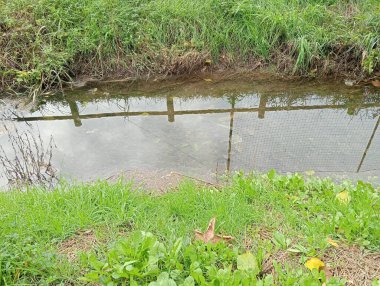 Parktaki nehrin güzel manzarası