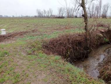 Ormanda küçük bir nehir.
