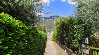 Bir dağ ve gölü olan güzel bir manzara.