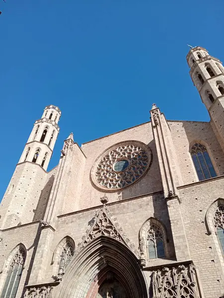 Santa Maria katedrali, kilise ve katedrali Valencia İspanya 'da assunta