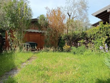 Parkın güzel manzarası