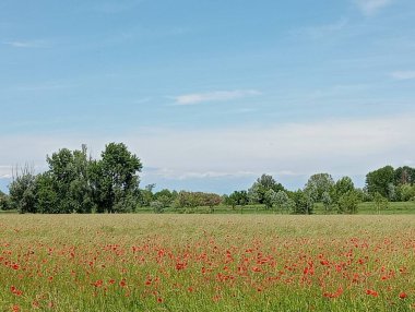 Doğanın güzel manzarası