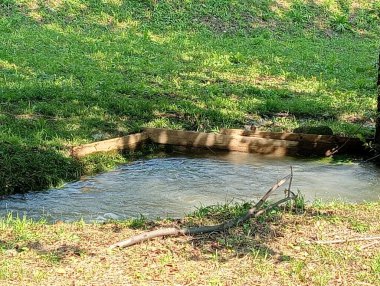 Parktaki eski ahşap köprü