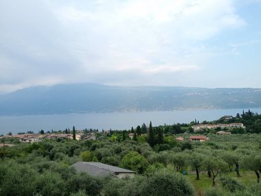 Arkasında bir dağ olan güzel bir manzara.