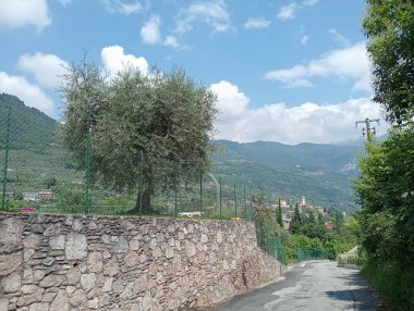 Nehir ve dağ olan güzel bir manzara.