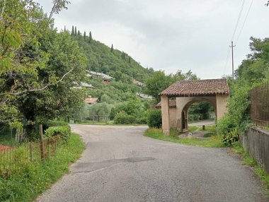 Yeşillik ve gündüz vakti ile çevrili ormandaki bir yolun dikey görüntüsü.