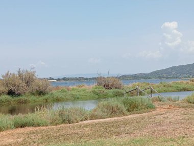 Güzel göl manzarası