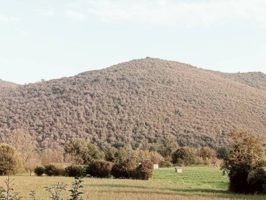 Doğanın güzel manzarası