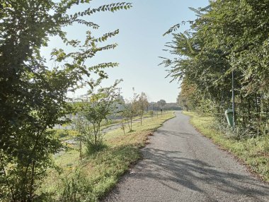 Ağaçlı ve yeşil yapraklı yol