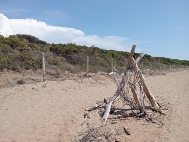 Deniz kıyısının güzel manzarası