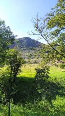 Dağların güzel manzarası