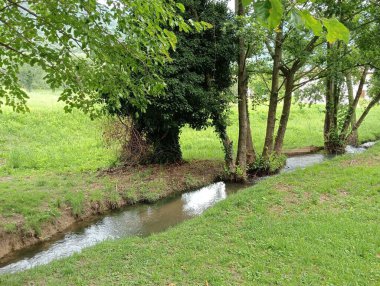 Nehir ve gölü olan güzel bir manzara.