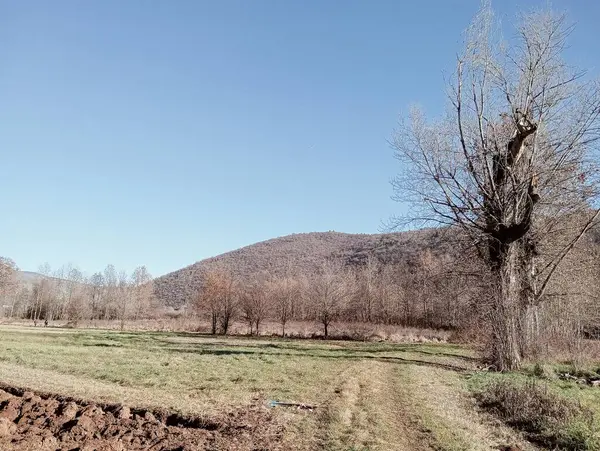 Doğanın güzel manzarası