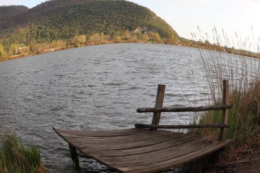 Ormanda ahşap bir bank