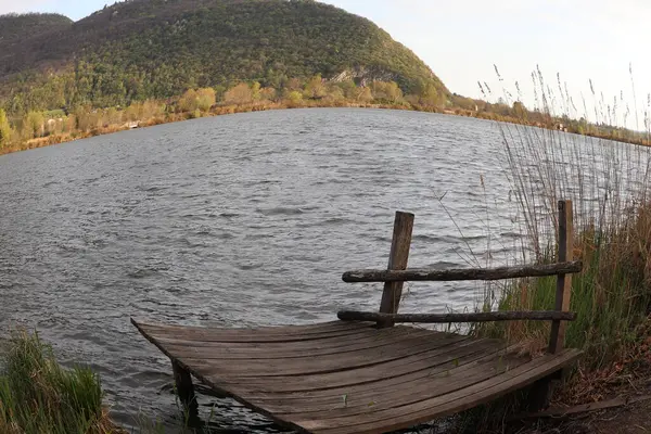 Ormanda ahşap bir bank